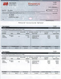 Print Checks Payroll Download (Includes 12 month subscription)