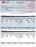 Print Checks Payroll Download (Includes 12 month subscription)