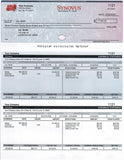 Print Checks Payroll on CD (Includes 12 month subscription)