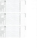 3-Per Page Personal Blank Check Stock